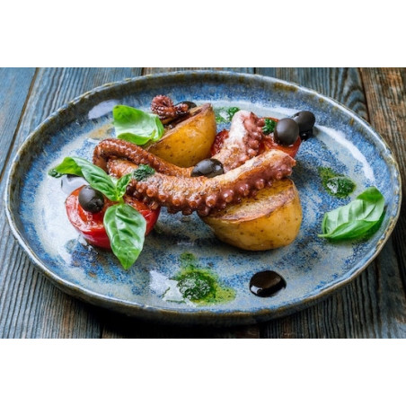 Ośmiornica cała surowa mrożona 3 kg | Octopus vulgaris | O-fish.pl