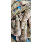 Nototenia tuszka premium mrożona omega-3 bez glazury – świeżość i zdrowie w O-fish.pl