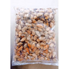 Mięso małży bez skorupy mrożone 2 kg | O-fish.pl