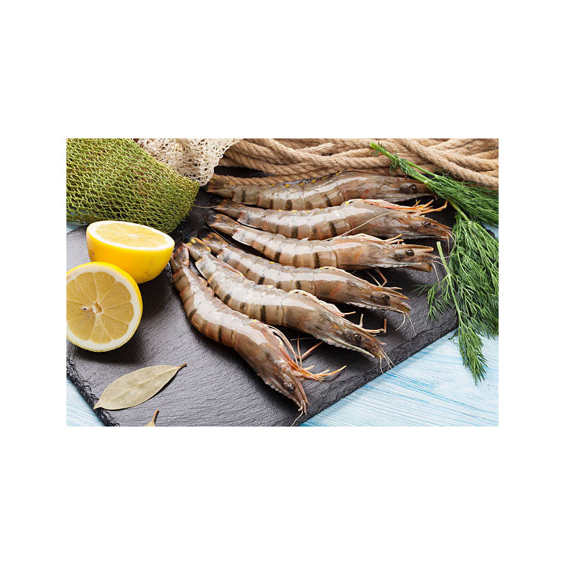 Black Tiger krewetki całe surowe 4 kg | O-fish.pl