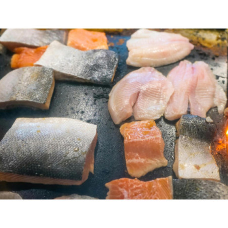 Porcje Łososia Atlantyckiego bez Skóry 4 kg - Mrożony, Hurtownia O-fish.pl