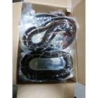 Węgorz Mrożony Patroszony 10kg | 0% Glazury | Jakość dla Gastronomii