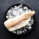 Dorsz Czarny Filet Bez Skóry 6,81 kg IQF | Hurtownia O-fish.pl