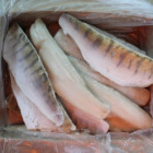 5 kg Filet z Sandacza Mrożony | Hurtownia Ryb O-fish.pl