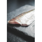 5 kg Filet z Sandacza Mrożony | Hurtownia Ryb O-fish.pl