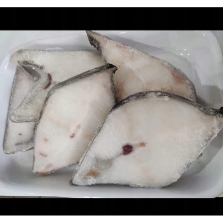 Steki z Zębacza Atlantyckiego 5 kg - Mrożone dzwonka, idealne dla gastronomii - O-fish.pl