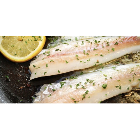 Żabnica egzotyczna filet mrożony 5 kg - hurtownia rybna O-fish.pl