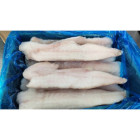 Żabnica egzotyczna filet mrożony 5 kg - hurtownia rybna O-fish.pl