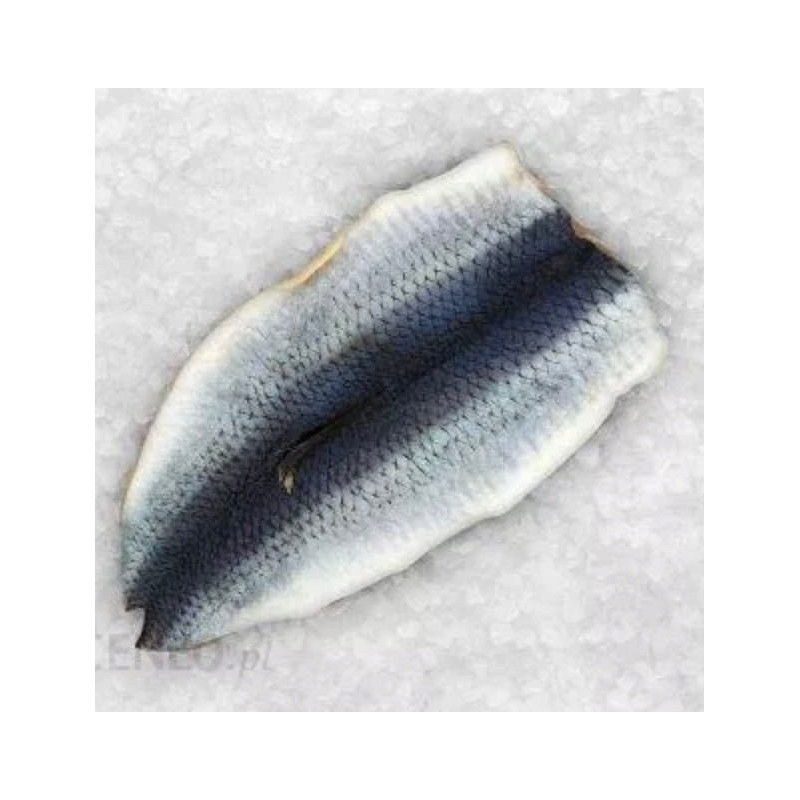 Mrożone Płaty Śledziowe 5 kg - Hurtownia Rybna - O-fish.pl