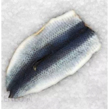 Mrożone Płaty Śledziowe 5 kg - Hurtownia Rybna - O-fish.pl