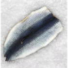 Mrożone Płaty Śledziowe 5 kg - Hurtownia Rybna - O-fish.pl
