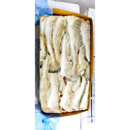 Dorsz Atlantycki Tuszki Mrożone 6 kg - Bez Głowy | Hurtownia Ryb O-fish.pl