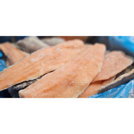 Pstrąg Łososiowy Filety Mrożone 5 kg - Hurtownia Ryb O-fish.pl