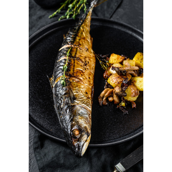 Makrela Cała Mrożona 5 kg - Hurtownia Ryb O-fish.pl