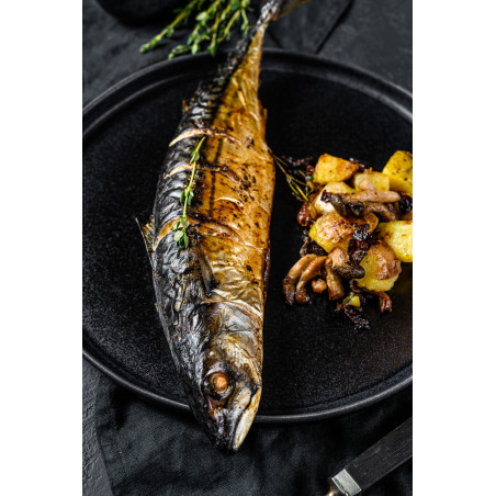 Makrela Cała Mrożona 5 kg - Hurtownia Ryb O-fish.pl