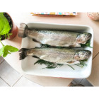 Pstrąg Surowy Tuszka Mrożona 5 kg - Hurtownia Ryb O-fish.pl