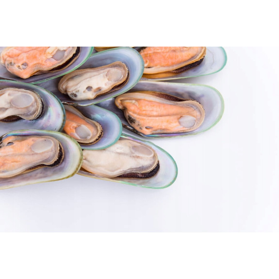 Małże zielone Nowozelandzkie na muszli 4 kg | O-fish.pl