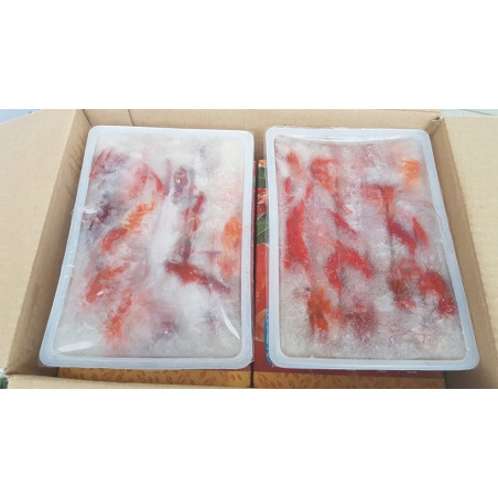 Raki Luizjańskie gotowane w białym winie 2,5 kg | O-fish.pl