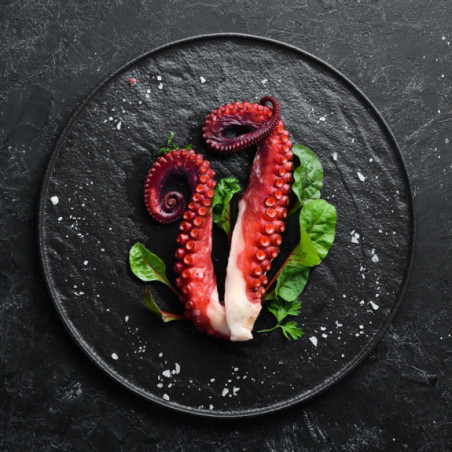 Gotowane Macki Ośmiornicy 1 kg - Mrożone | O-fish.pl Hurtownia