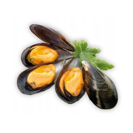 Omułki Chilijskie w Muszlach 4 kg - Mrożone | O-fish.pl Hurtownia