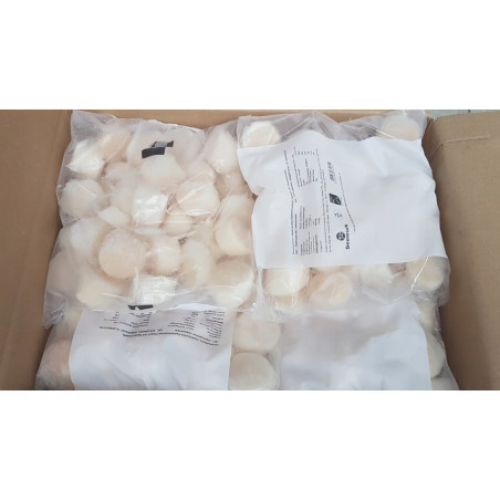 Przegrzebki 10/20 Mięso Małży św. Jakuba 2 kg | O-fish.pl Hurtownia