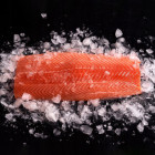 Łosoś Wędzony na Zimno Plastry 2kg | O-fish.pl Hurtownia