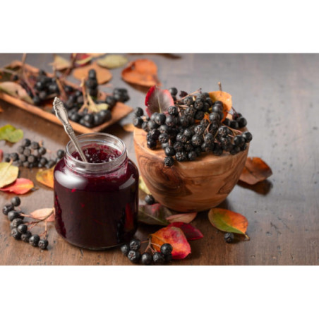 Aronia mrożona 5 kg | Owoce mrożone | O-fish.pl