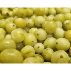 Agrest zielony mrożony 5 kg | Owoce mrożone | O-fish.pl