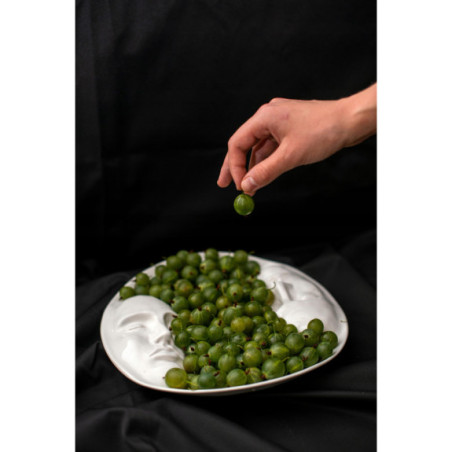 Agrest zielony mrożony 5 kg | Owoce mrożone | O-fish.pl