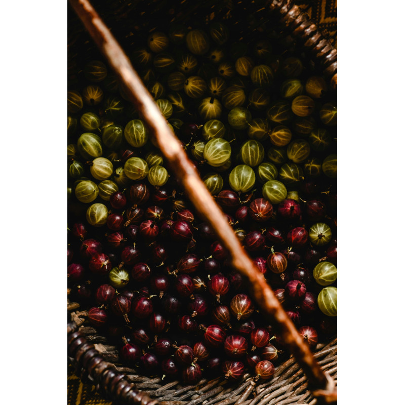 Agrest zielony mrożony 10 kg - naturalne owoce do przetwórstwa i deserów | O-fish.pl