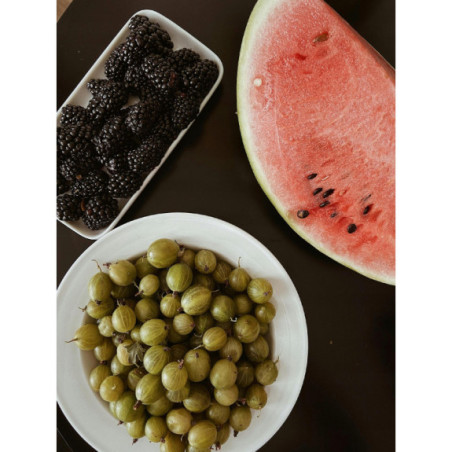 Agrest zielony mrożony 10 kg - naturalne owoce do przetwórstwa i deserów | O-fish.pl