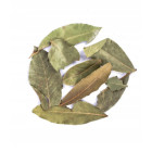 Liść laurowy EKO 100g - Aromatyczna przyprawa do ryb | O-fish