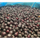 Jagoda leśna mrożona 10 kg - naturalne owoce leśne bez konserwantów | O-fish.pl