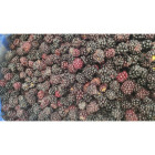 Jeżyny Leśne Mrożone 5 kg - Owoce dla Gastronomii | O-fish.pl