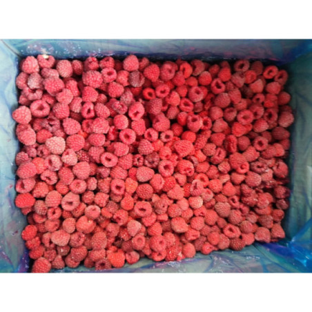 Maliny Mrożone Całe 5 kg - Owoce dla Gastronomii | O-fish.pl