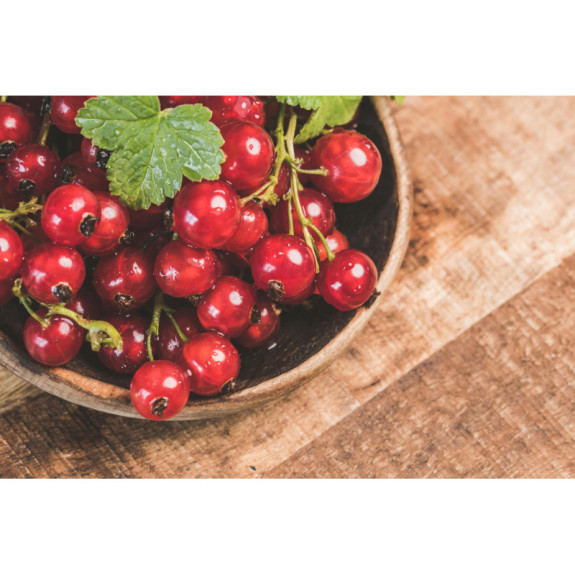 Czerwona Porzeczka Mrożona 5 kg | Owoce dla Gastronomii | O-fish.pl