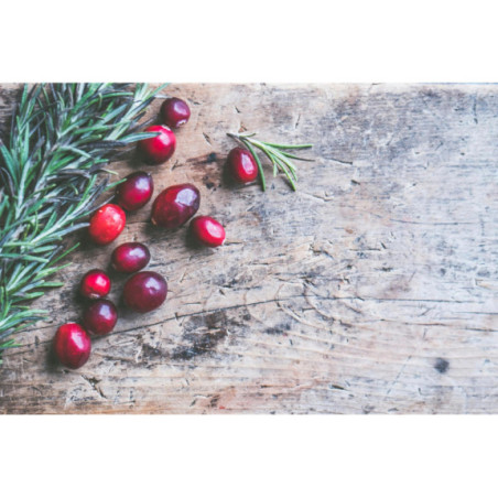 Żurawina mrożona 5 kg | Owoce mrożone | O-fish.pl