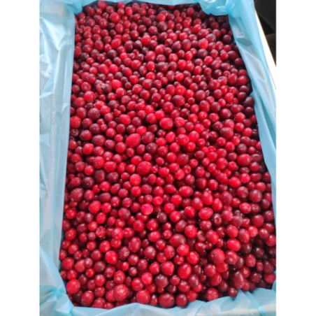 Żurawina mrożona 5 kg | Owoce mrożone | O-fish.pl