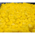 Mango kostka mrożona 10 kg - naturalne owoce bez konserwantów | O-fish.pl