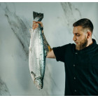 Steki z łososia dzikiego dzwonki 2 kg - Jakość Premium | O-fish.pl