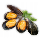 Omułki Chilijskie Gotowane 2 kg - Mrożone | Hurtownia O-fish.pl