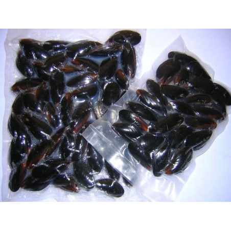 Omułki Chilijskie Gotowane 2 kg - Mrożone | Hurtownia O-fish.pl