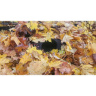 Domek dla jeża z Piocelanu 40x30x17cm - Trwały i Ciepły | O-fish