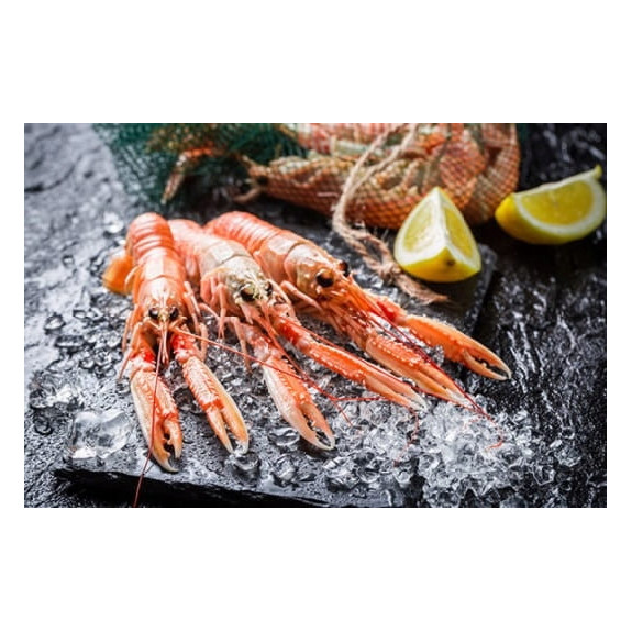 Langustynki całe surowe mrożone 2 kg | Homarzec | O-fish.pl