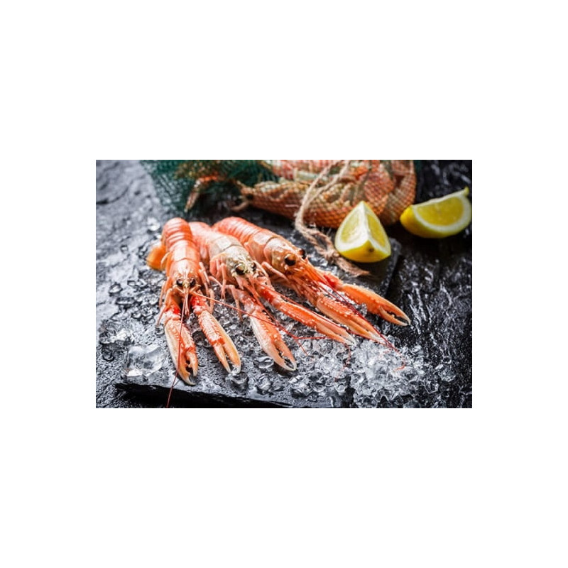 Langustynki całe surowe mrożone 2 kg | Homarzec | O-fish.pl