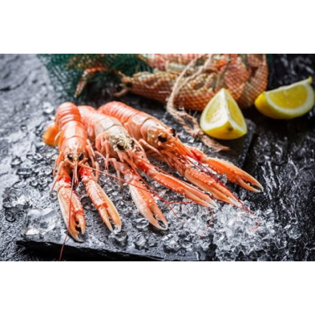 Langustynki całe surowe mrożone 2 kg | Homarzec | O-fish.pl