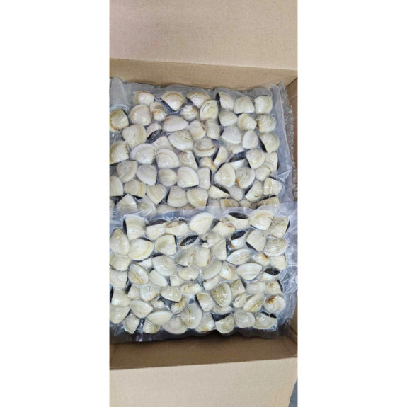 Małże Vongole gotowane mrożone 2 kg | O-fish.pl