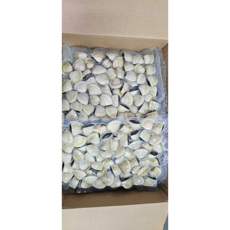 Małże Vongole gotowane mrożone 2 kg | O-fish.pl