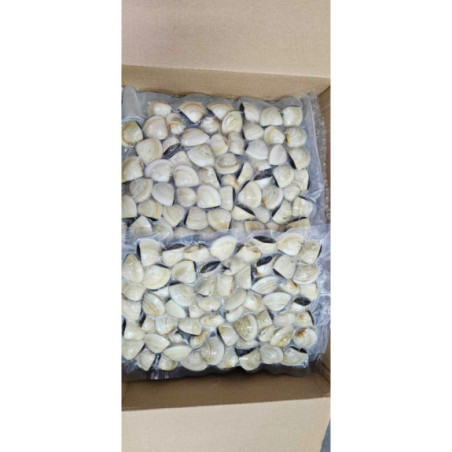 Małże Vongole gotowane mrożone 2 kg | O-fish.pl