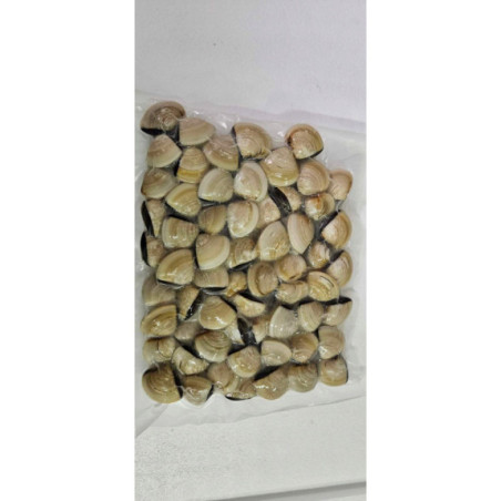 Małże Vongole gotowane mrożone 2 kg | O-fish.pl